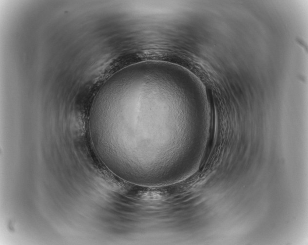 X0000094370751200711021530
