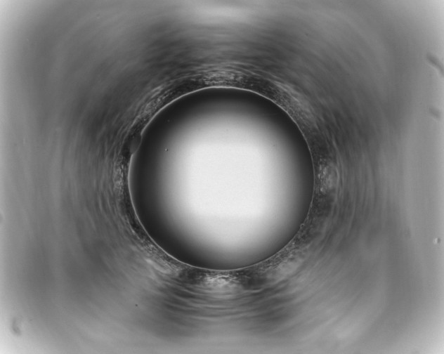 X0000094370753200711021530