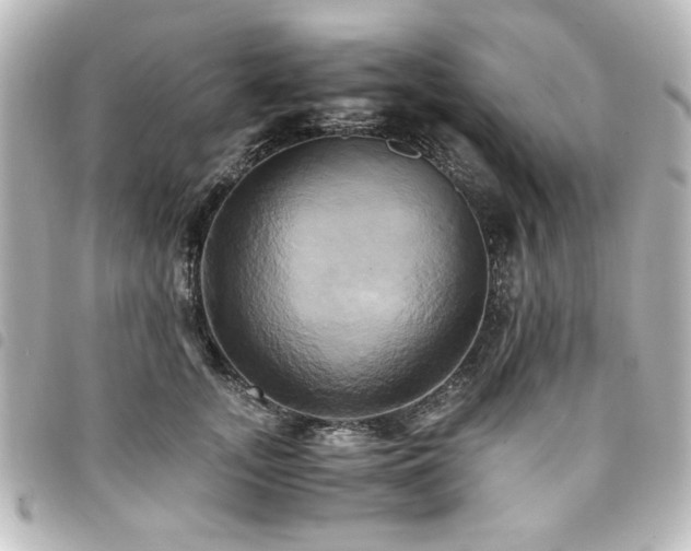 X0000094370755200711021530