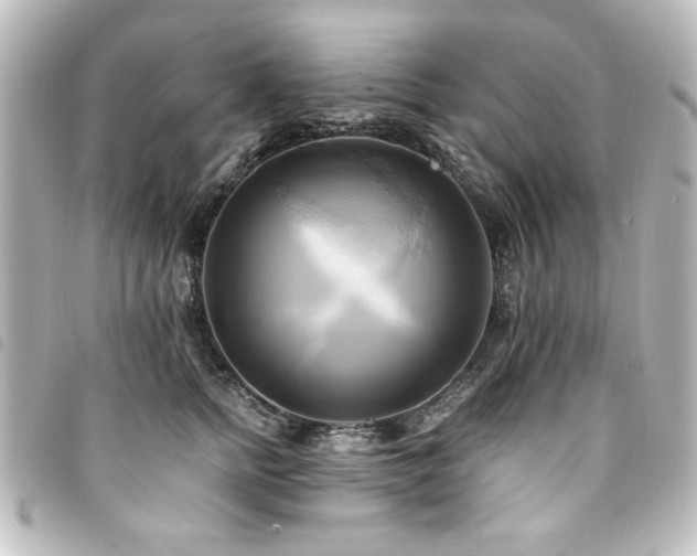 X0000094370758200711021530