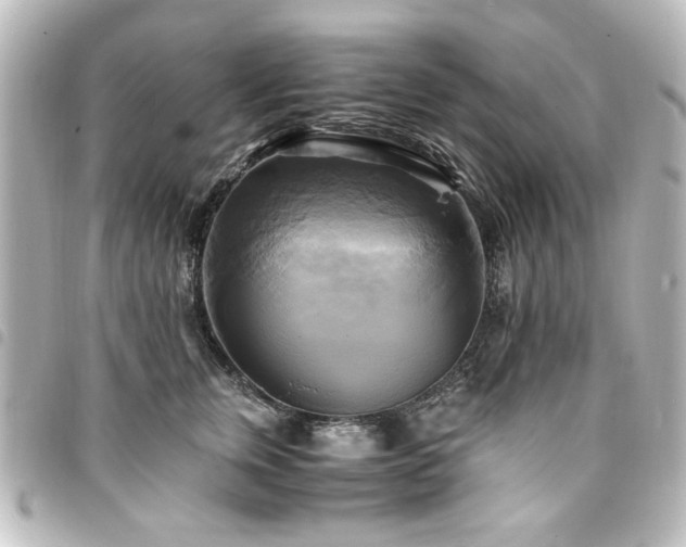 X0000094370759200711021530