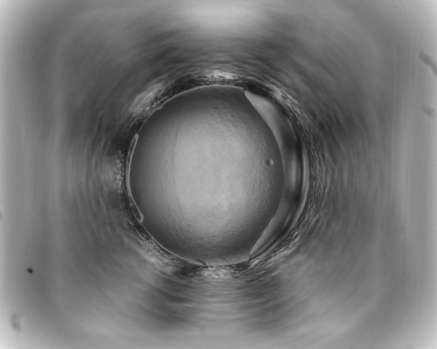 X0000094370762200711021530