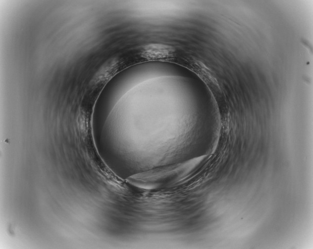 X0000094370763200711021530