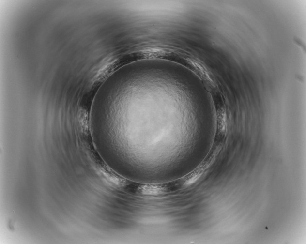 X0000094370766200711021530