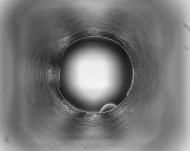 X0000094370768200711021530
