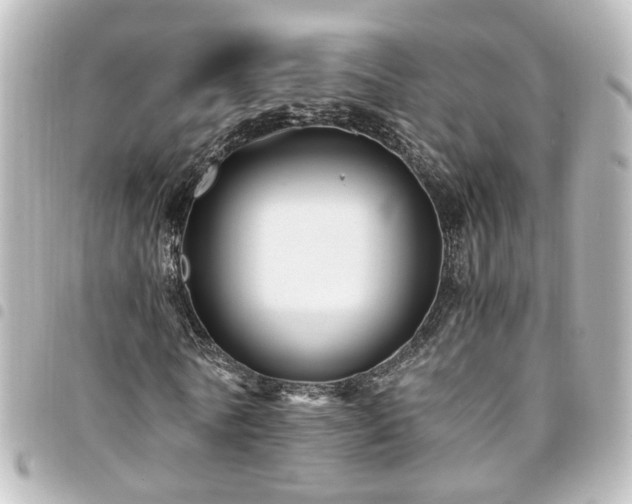 X0000094370770200711021529