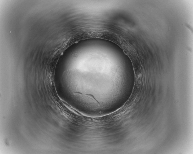 X0000094370772200711021529