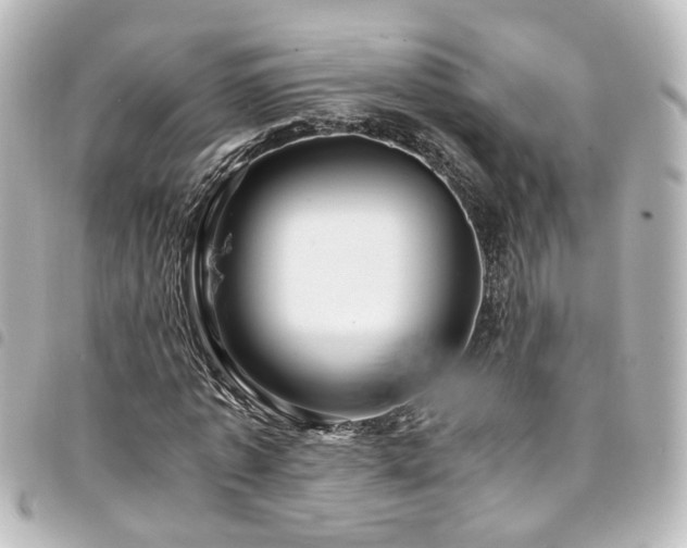 X0000094370773200711021529