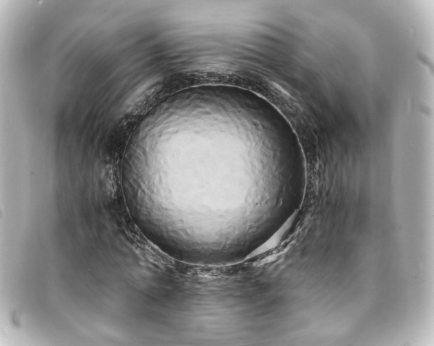 X0000094370774200711021529