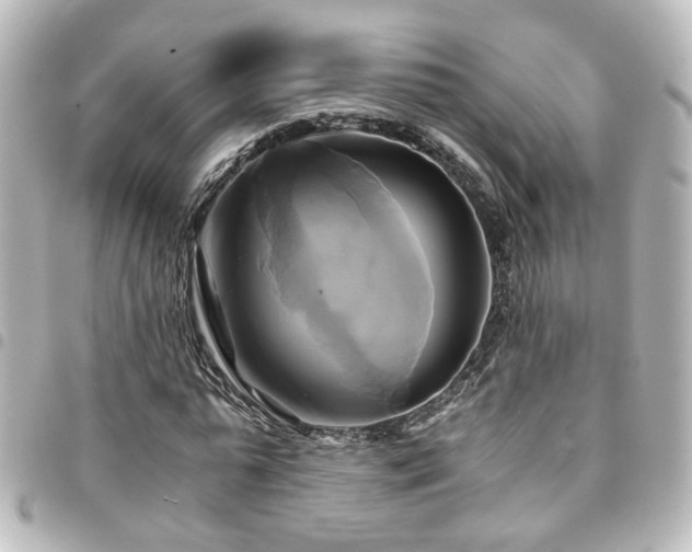 X0000094370775200711021529