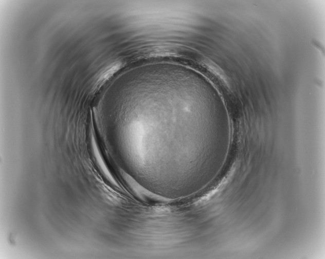 X0000094370777200711021529