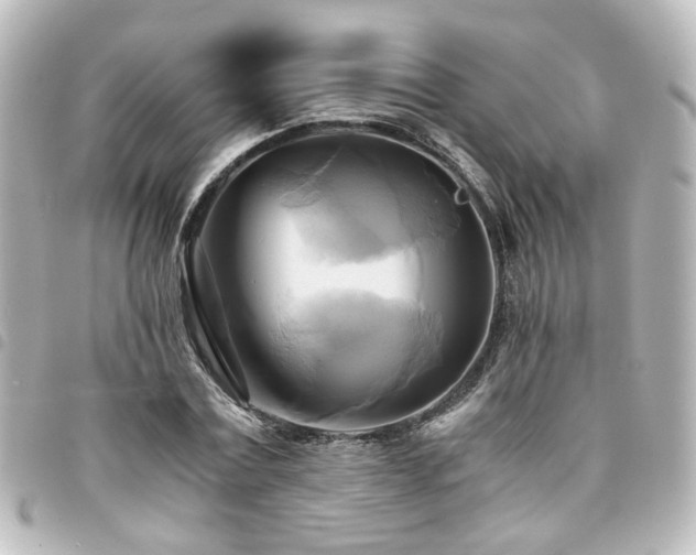 X0000094370779200711021529