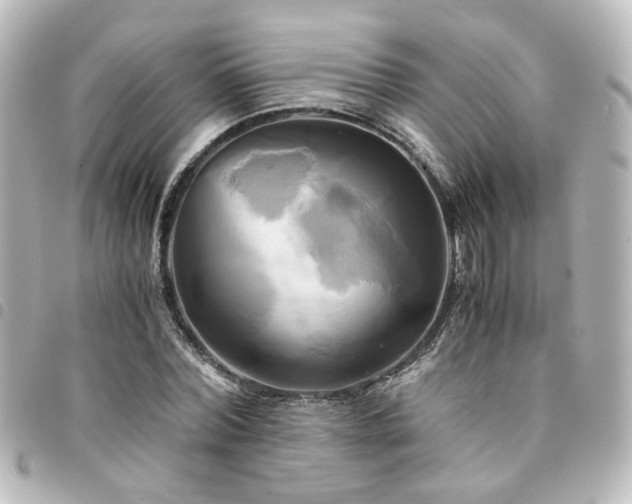 X0000094370780200711021529