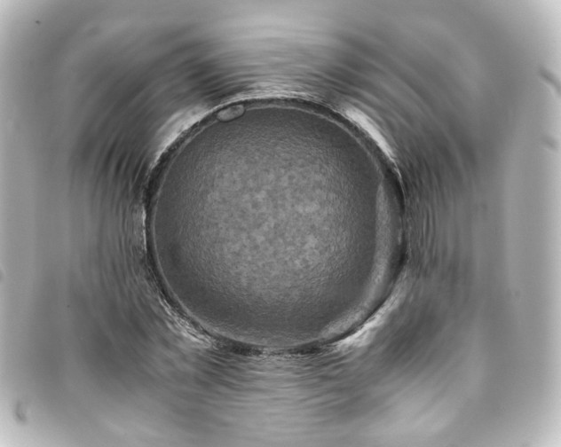 X0000094370781200711021529