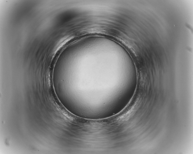 X0000094370782200711021529