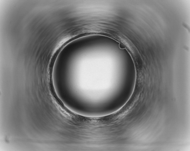 X0000094370787200711021529
