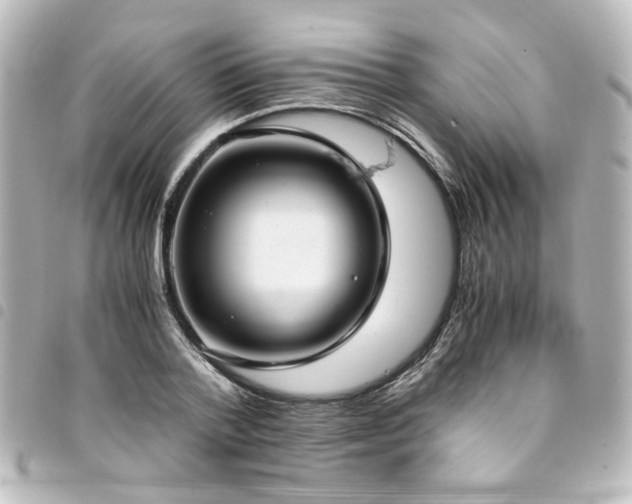 X0000094370788200711021529