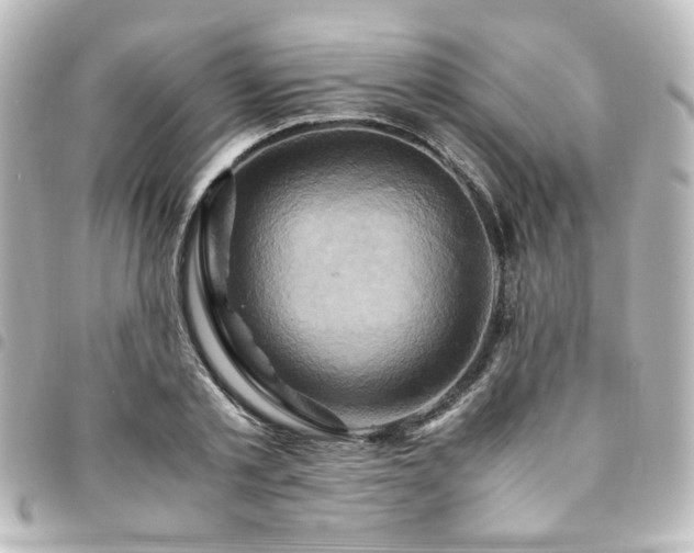X0000094370789200711021529