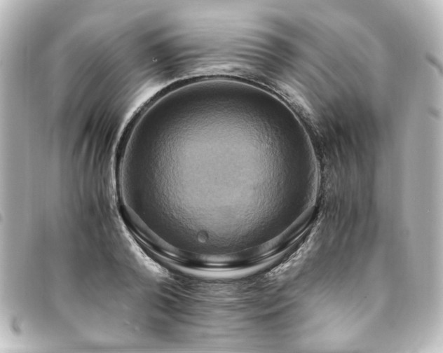 X0000094370792200711021529