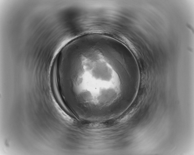X0000094370795200711021529
