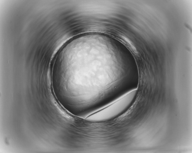 X0000094370796200711021529
