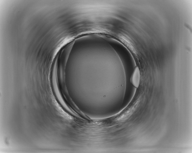 X0000094370797200711021529