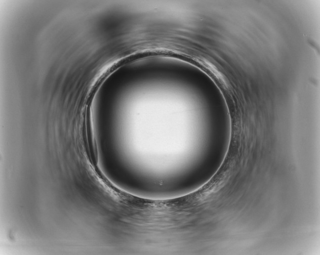 X0000094370799200711021529