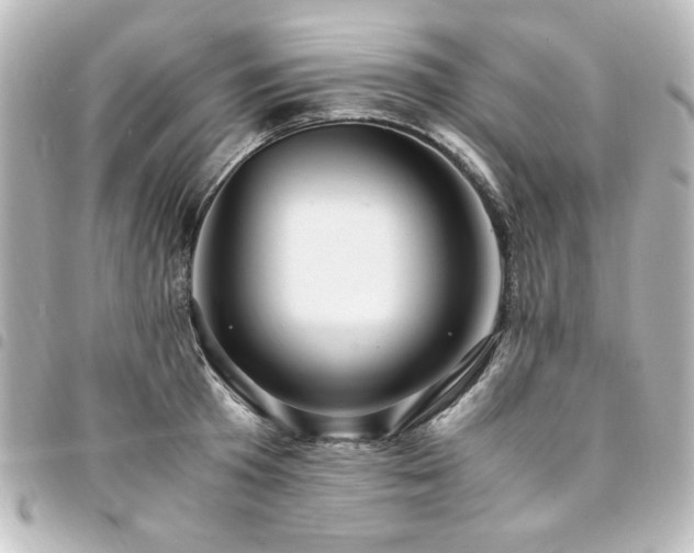 X0000094370801200711021529
