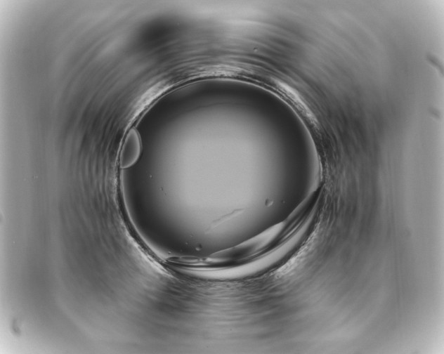 X0000094370802200711021529