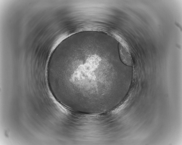 X0000094370803200711021529