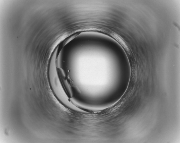 X0000094370805200711021529