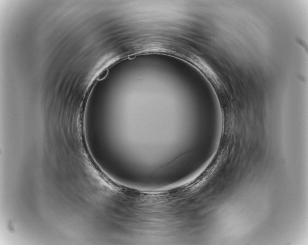 X0000094370806200711021529