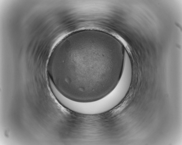 X0000094370807200711021529