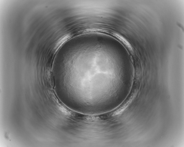 X0000094370809200711021529