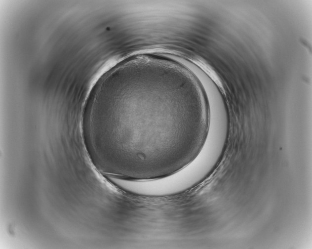 X0000094370813200711021529