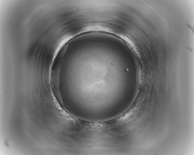 X0000094370815200711021529