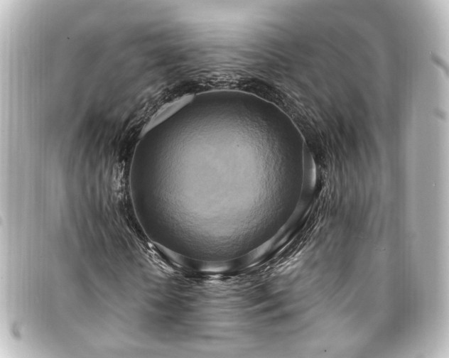 X0000094370818200711021528