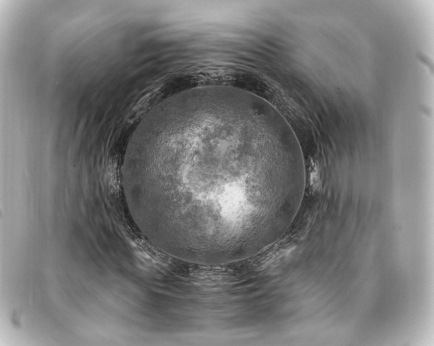 X0000094370819200711021528