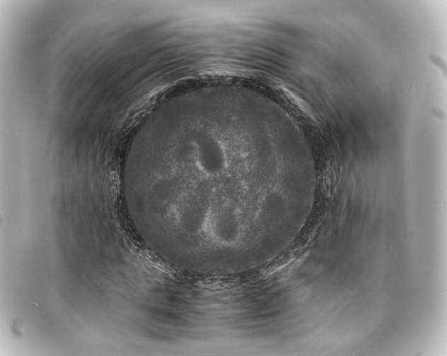 X0000094370821200711021528