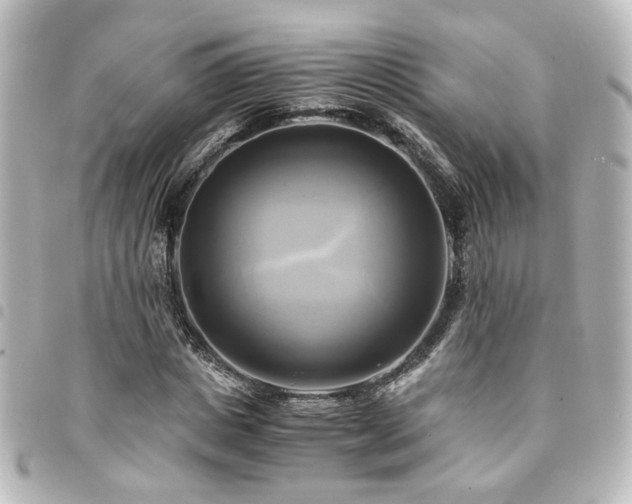 X0000094370825200711021528