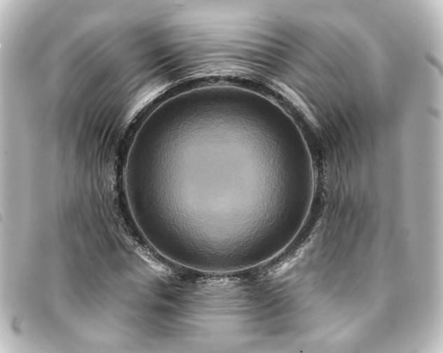 X0000094370826200711021528