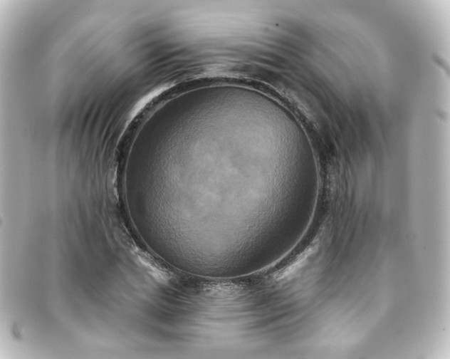 X0000094370830200711021528