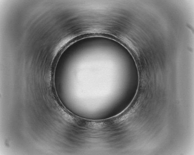 X0000094370831200711021528