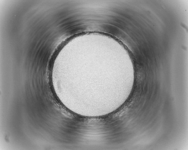X0000094370832200711021528