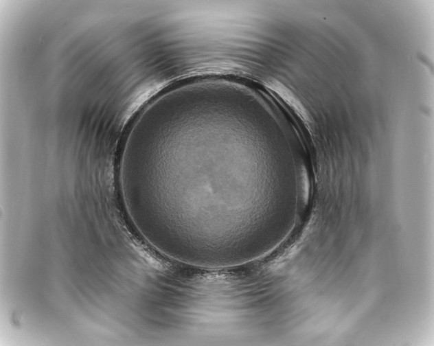 X0000094370834200711021528