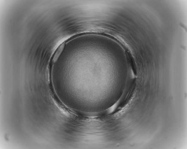 X0000094370838200711021528