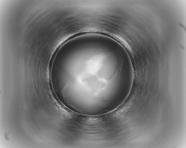 X0000094370839200711021528