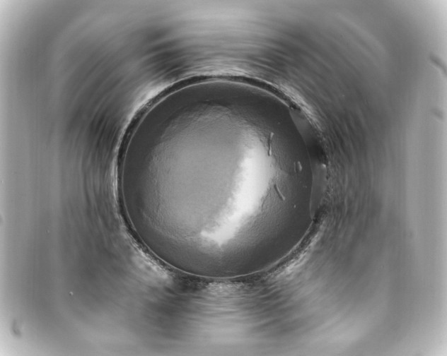 X0000094370840200711021528