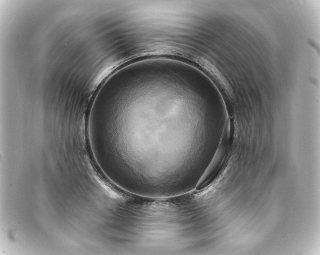 X0000094370842200711021528