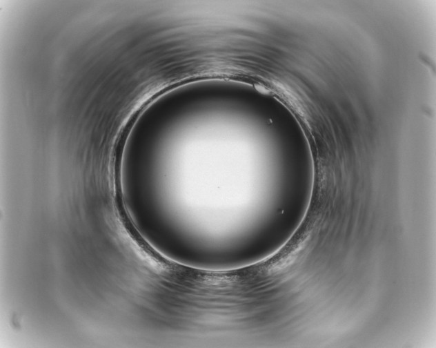 X0000094370843200711021528